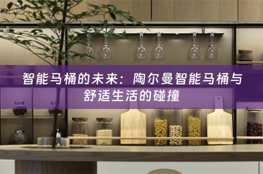 智能马桶的未来：陶尔曼智能马桶与舒适生活的碰撞