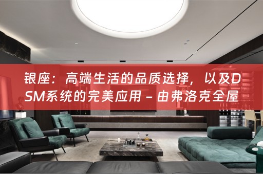 银座：高端生活的品质选择，以及DSM系统的完美应用 - 由弗洛克带您探索