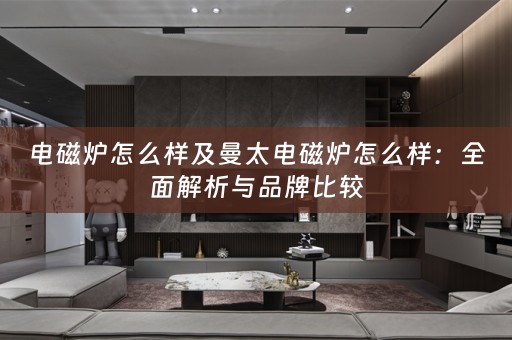 电磁炉怎么样及曼太电磁炉怎么样：全面解析与品牌比较