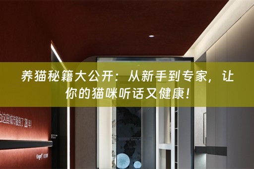 养猫秘籍大公开：从新手到专家，让你的猫咪听话又健康！