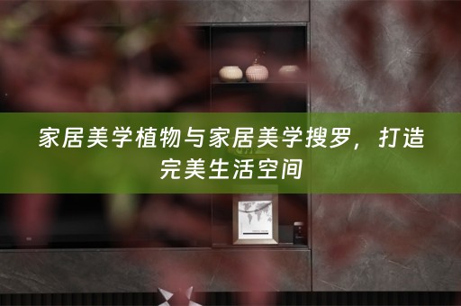 家居美学植物与家居美学搜罗，打造完美生活空间