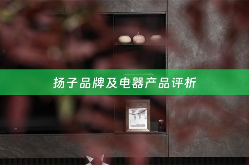 扬子品牌及电器产品评析