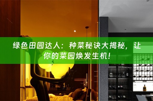 绿色田园达人：种菜秘诀大揭秘，让你的菜园焕发生机！