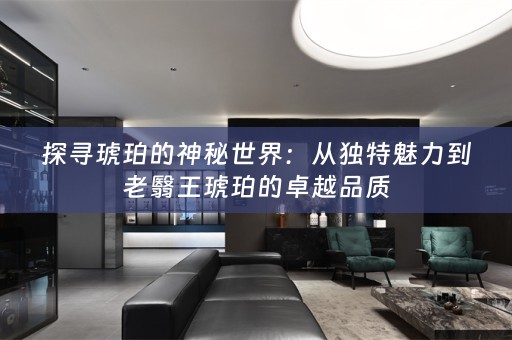 探寻琥珀的神秘世界：从独特魅力到老翳王琥珀的卓越品质