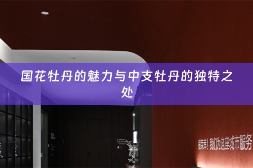 国花牡丹的魅力与中支牡丹的独特之处