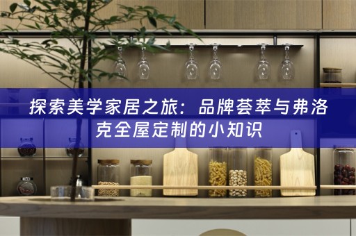 探索美学家居之旅：品牌荟萃与弗洛克的小知识