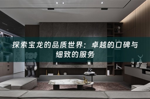 探索宝龙的品质世界：卓越的口碑与细致的服务