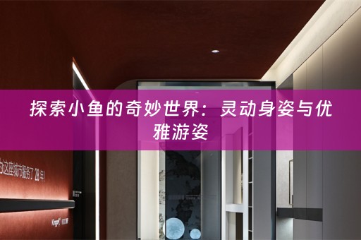 探索小鱼的奇妙世界：灵动身姿与优雅游姿
