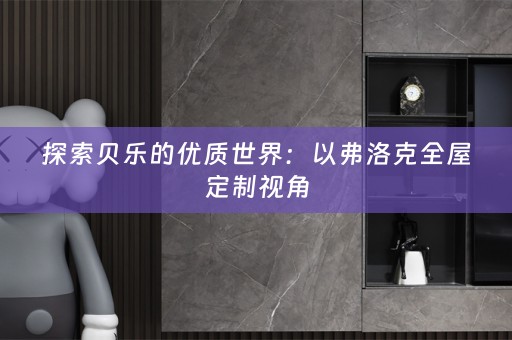 探索贝乐的优质世界：以弗洛克视角