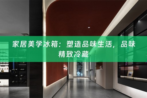 家居美学冰箱：塑造品味生活，品味精致冷藏