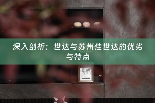 深入剖析：世达与苏州佳世达的优劣与特点