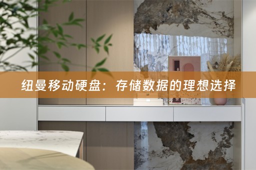纽曼移动硬盘：存储数据的理想选择