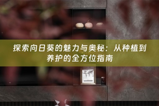 探索向日葵的魅力与奥秘：从种植到养护的全方位指南