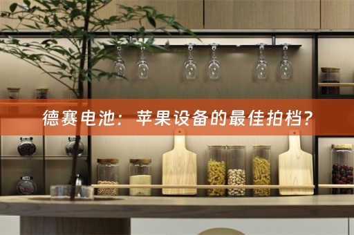 德赛电池：苹果设备的最佳拍档？