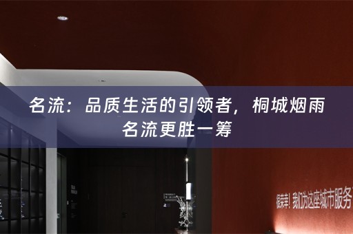 名流：品质生活的引领者，桐城烟雨名流更胜一筹