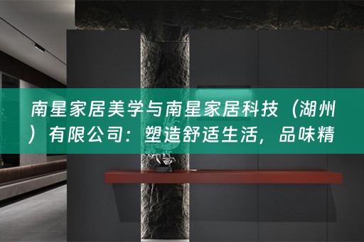 南星家居美学与南星家居科技（湖州）有限公司：塑造舒适生活，品味精致家居