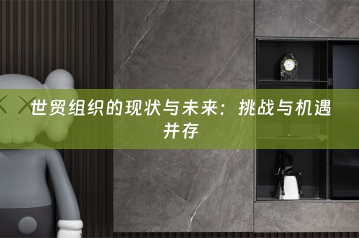 世贸组织的现状与未来：挑战与机遇并存