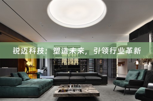 锐迈科技：塑造未来，引领行业革新
