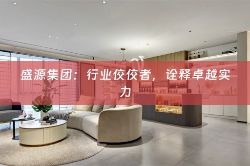 盛源集团：行业佼佼者，诠释卓越实力