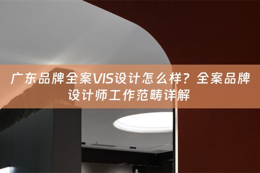 广东品牌全案VIS设计怎么样？全案品牌设计师工作范畴详解 