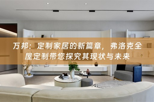 万邦：定制家居的新篇章，弗洛克带您探究其现状与未来