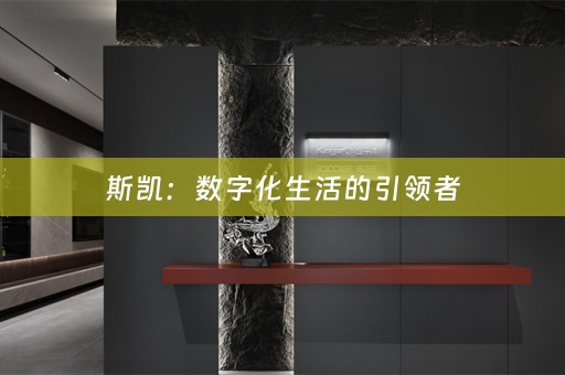 斯凯：数字化生活的引领者