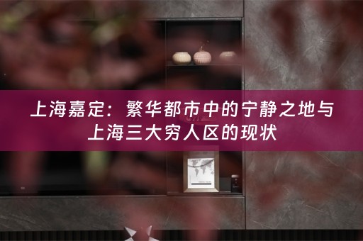 上海嘉定：繁华都市中的宁静之地与上海三大穷人区的现状