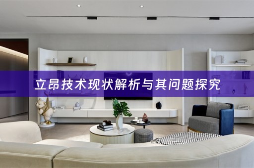 立昂技术现状解析与其问题探究