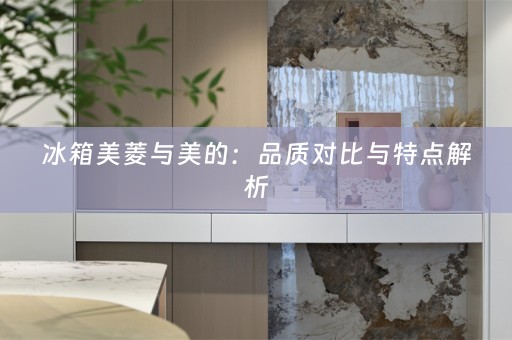 冰箱美菱与美的：品质对比与特点解析