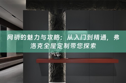 网销的魅力与攻略：从入门到精通，弗洛克带您探索