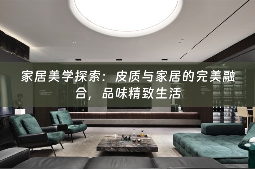 家居美学探索：皮质与家居的完美融合，品味精致生活