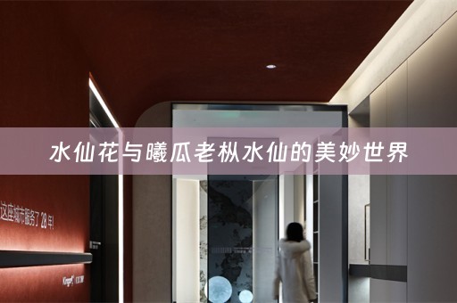 水仙花与曦瓜老枞水仙的美妙世界