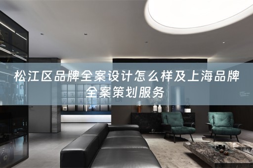 松江区品牌全案设计怎么样及上海品牌全案策划服务 