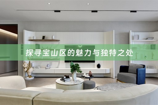 探寻宝山区的魅力与独特之处