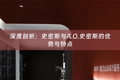 深度剖析：史密斯与A.O.史密斯的优势与特点