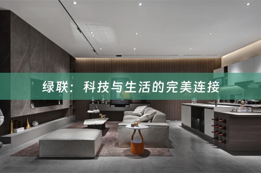 绿联：科技与生活的完美连接