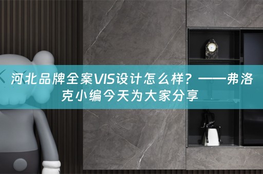 河北品牌全案VIS设计怎么样？——弗洛克小编今天为大家分享 