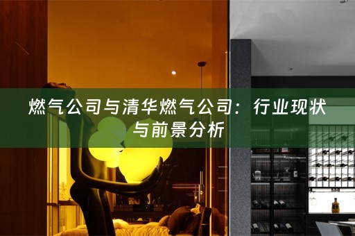 燃气公司与清华燃气公司：行业现状与前景分析