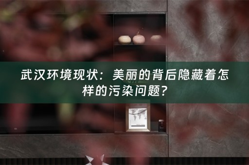 武汉环境现状：美丽的背后隐藏着怎样的污染问题？