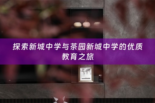 探索新城中学与茶园新城中学的优质教育之旅