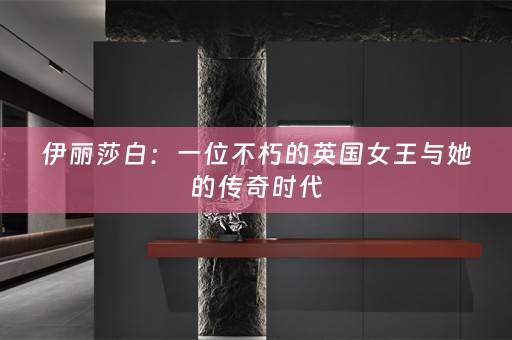伊丽莎白：一位不朽的英国女王与她的传奇时代