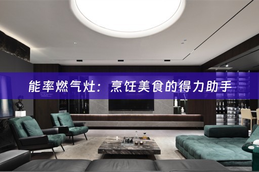能率燃气灶：烹饪美食的得力助手