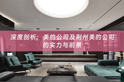 深度剖析：美的公司及荆州美的公司的实力与前景