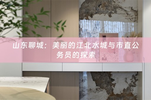 山东聊城：美丽的江北水城与市直公务员的探索