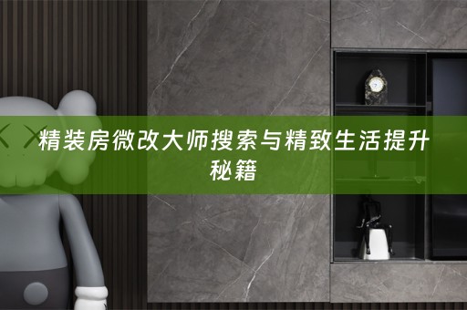 精装房微改大师搜索与精致生活提升秘籍