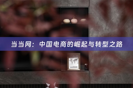 当当网：中国电商的崛起与转型之路