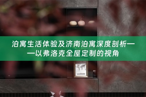 泊寓生活体验及济南泊寓深度剖析——以弗洛克的视角