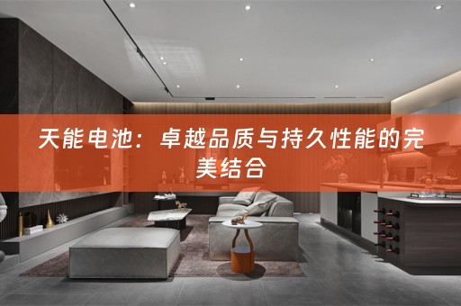 天能电池：卓越品质与持久性能的完美结合