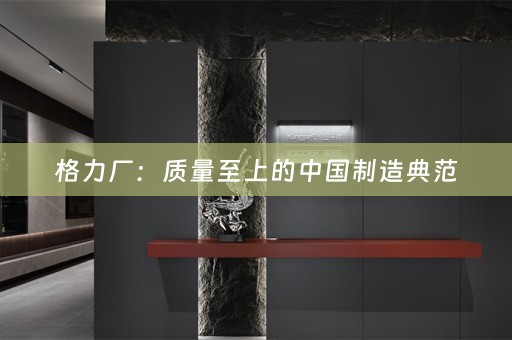 格力厂：质量至上的中国制造典范