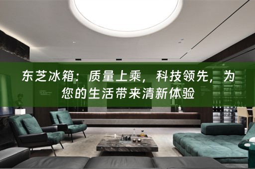 东芝冰箱：质量上乘，科技领先，为您的生活带来清新体验